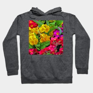 Primulas Hoodie